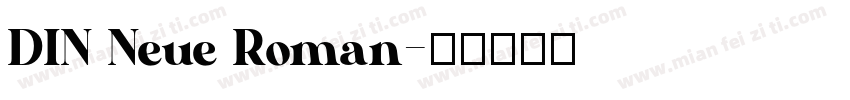DIN Neue Roman字体转换